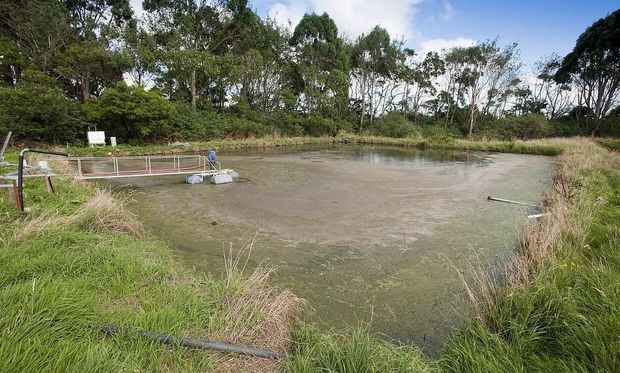 Biological Effluent Pond Treatment