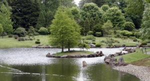Pond Clean - Biological cleaning solution for ponds - agritek